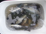 P1000410