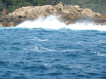 P1000004