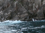 P1000006