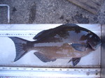 P1000995