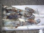 P1010011