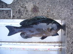 P1010163
