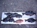 P1010170
