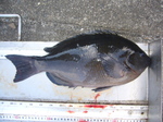 P1010149