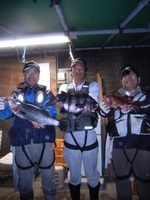 Rimg0433